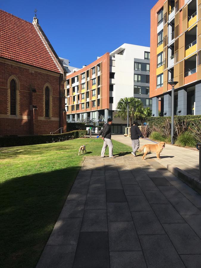 Panoramic Views In Luxurious Brand New Apartment Sydney Bagian luar foto